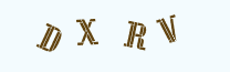 보안 문자